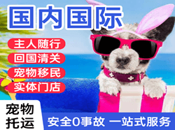 长沙航空快递国际宠物托运 【国